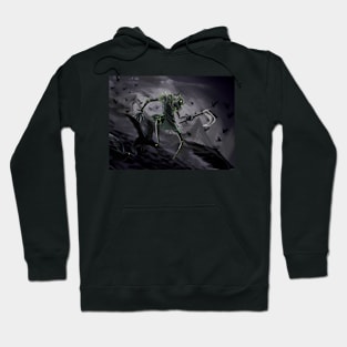 crowstorm Hoodie